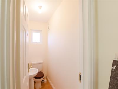 Picture 24